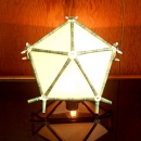 lampshell.jpg